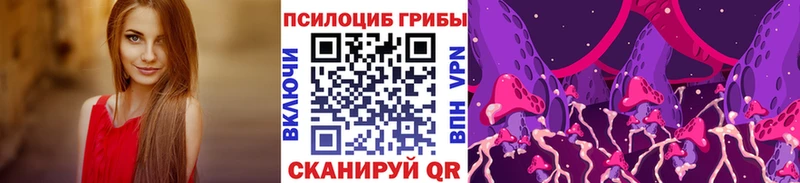 Псилоцибиновые грибы мицелий  цена   Полесск 